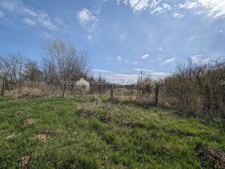 Teren intravilan Balint 22.500 mp - 4