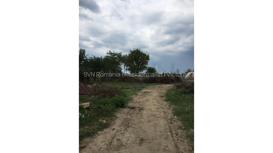 REL4000117 Teren Ciolpani - Piscu - loturi intre 968 mp si 974 mp - 6