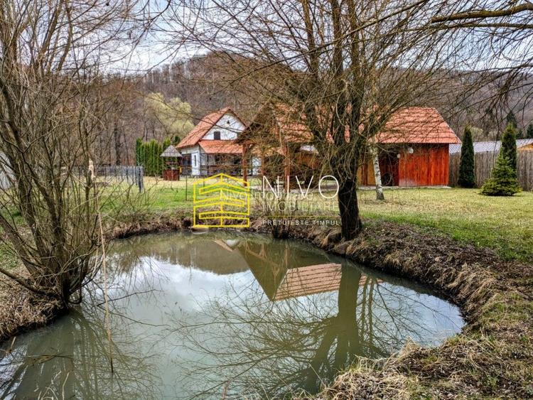 Casă singur în curte – Mureș – Câmpu Cetății - 31