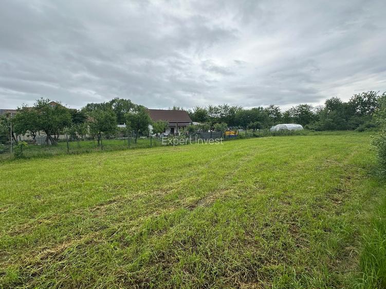 Teren intravilan de constructii 1.500 mp * Padurea Dumbrava Sibiu - 3