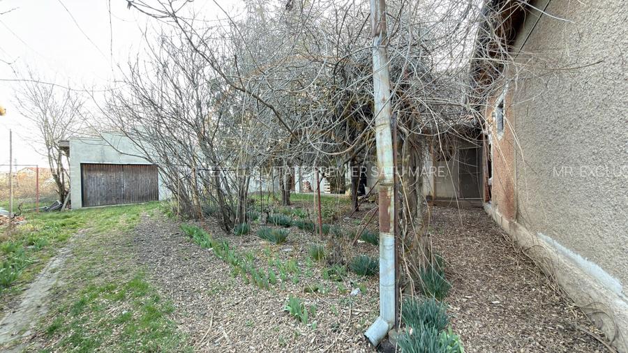 Proprietate cu 2 case | Teren 546 mp | Str. Albinelor Nr.18 - Carei - 16