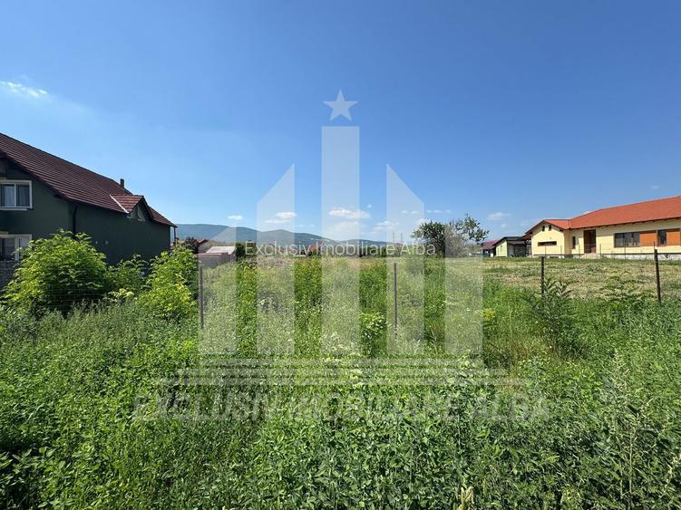 Teren intravilan | 4000 mp | 24.5 ml deschidere | Alba-Micesti - 4