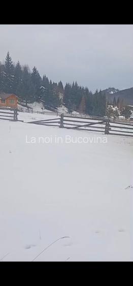 Vindem teren 8179 mp langa padure - 7