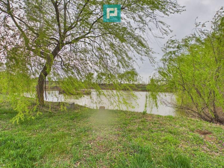 Teren 1 ha cu baltă populată – Alioș (Mașloc) - 8