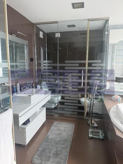 VANZARE PENTHOUSE SPECTACULOS OTOPENI |  355 MP | - 9