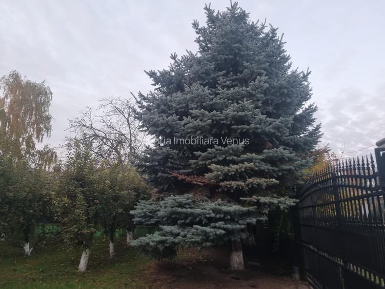 Casa la cheie mobilata si utilata cu 2500mp teren in oras - 16