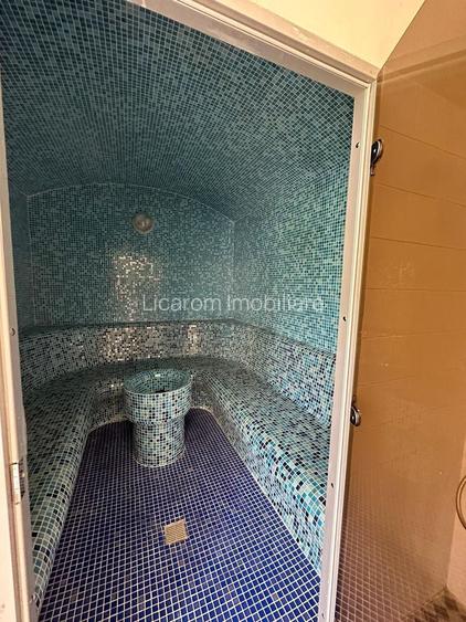 Casa saseasca CRISTIAN,amenajata LUX,pt turism,piscina,curte - 22