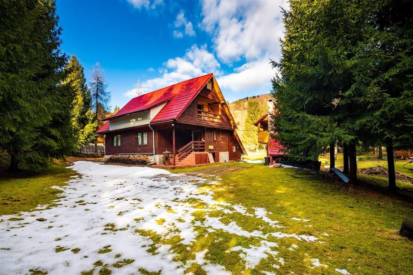 Cabane cu 10 camere Arieseni