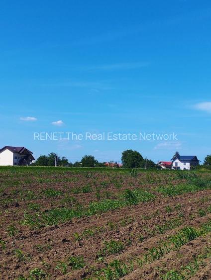 MEGA OCAZIE SE VINDE TEREN 10.600 DE METRI LA PRET DE 6.600 CU DESCHIDRE LA LAC - 4