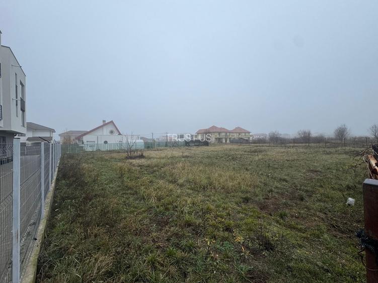 COMISION 0 | Teren intravilan | 1409 mp | Zona Dumbravița - 3