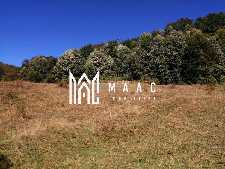 Teren Extravilan 20.000Mp I Stoenești -Vâlcea I Apă Curentă și Pădure - 12