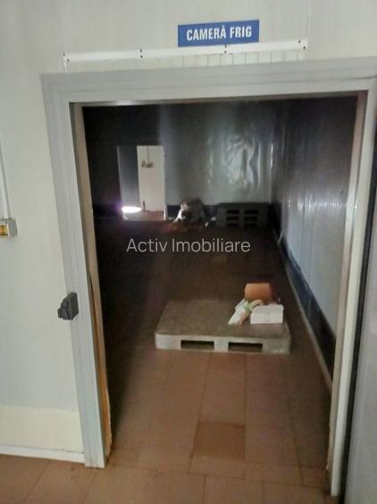 HALA ideala pentru PRODUCTIE ALIMENTARA, Poiana, Ovidiu – 827 mp, teren 4066 mp - 26