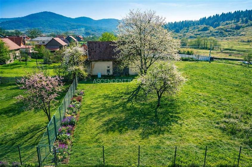 FILM! Casa traditionala, curte, gradina, anexe, extensie teren, Zagon, Covasna - 5