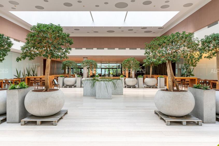 BIROURI CLASA A CU CHIRII AVANTAJOASE - 2