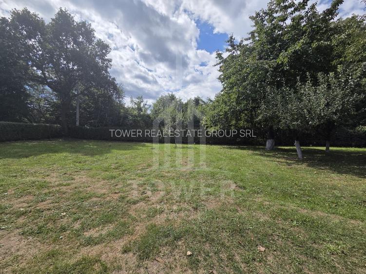 Teren deosebit cu cabană din lemn, Tocile – locație liniștită - 19