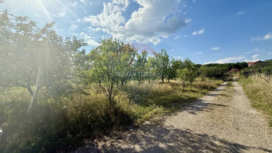 Teren Tautii-Magheraus - 4