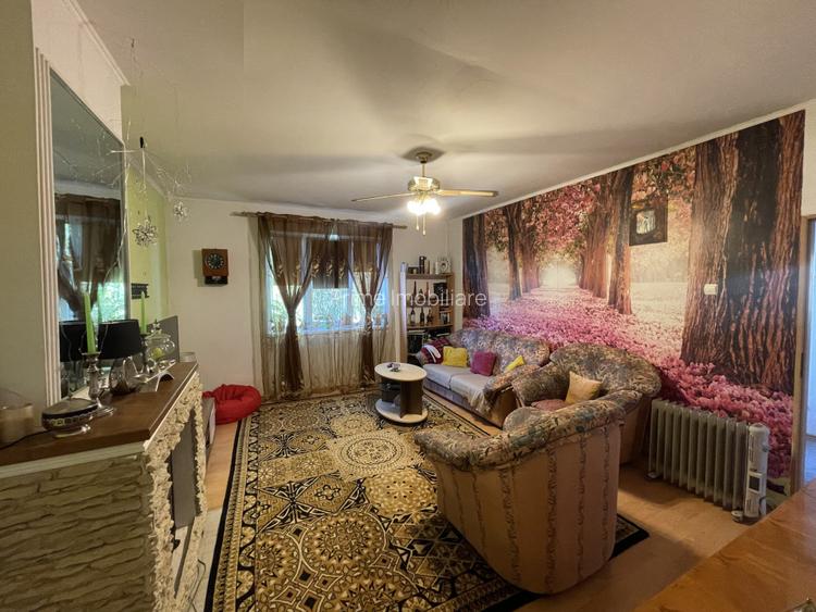 Casă de vânzare în inima Cetății | 4 camere | 160mp utili | 730mp supraf totala - 8