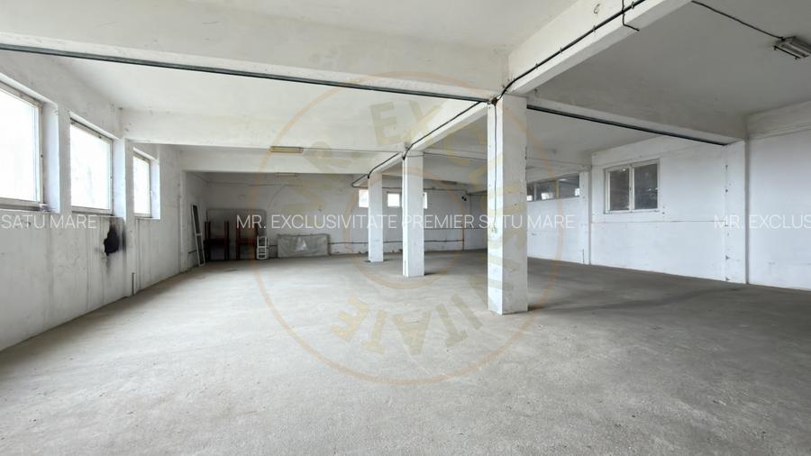 Inchiriere Cladire Productie, Depozitare 278 mp -Teren 1380 mp - Carei  - 13