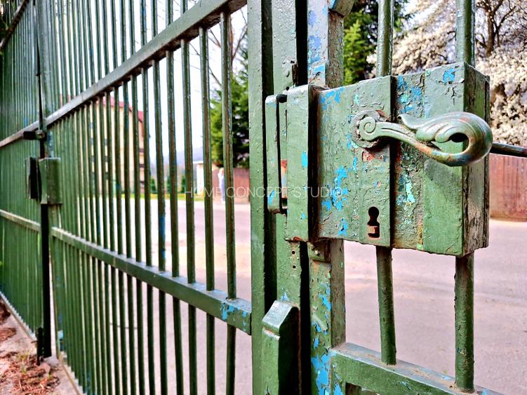 Vila Zamora, Busteni - 28