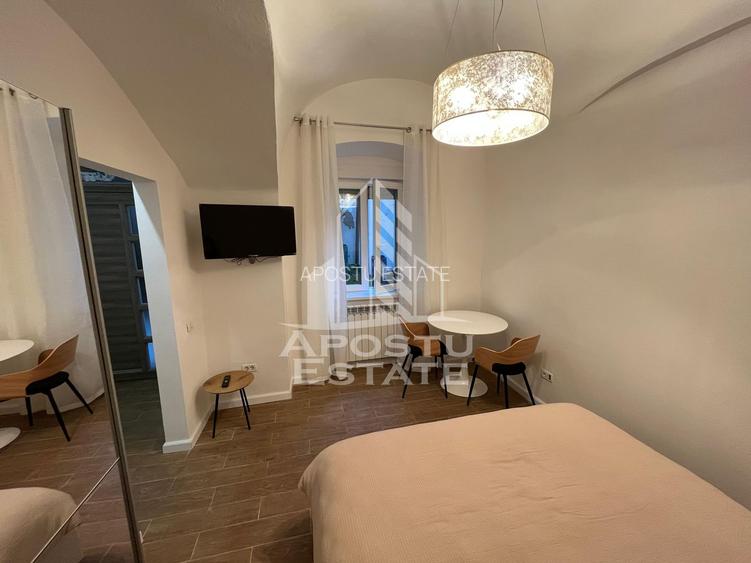 Apartament cu 1 camera de inchiriat, Piata Unirii, Timisoara - 3