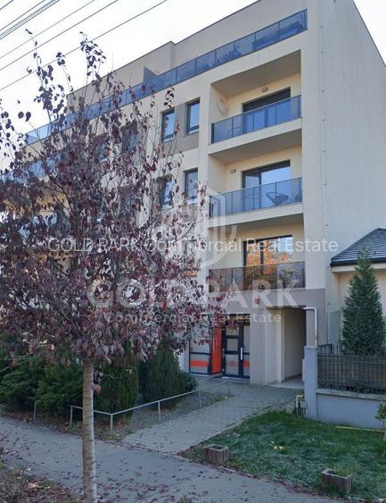 Spatiu Comercial - Marasti - Vitrina la Strada - 441 mp - 14