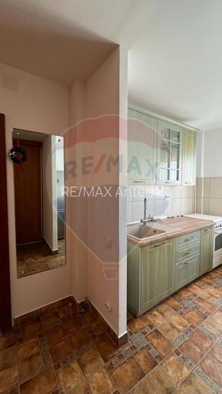 Apartament cu 2 camere - Drumul Taberei - statie Hanul Drumetului - 8