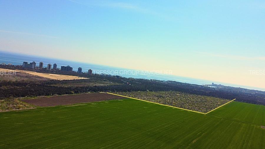 E rândul tău să faci investiții profitabile! Olimp-Padurea Comorova - 11