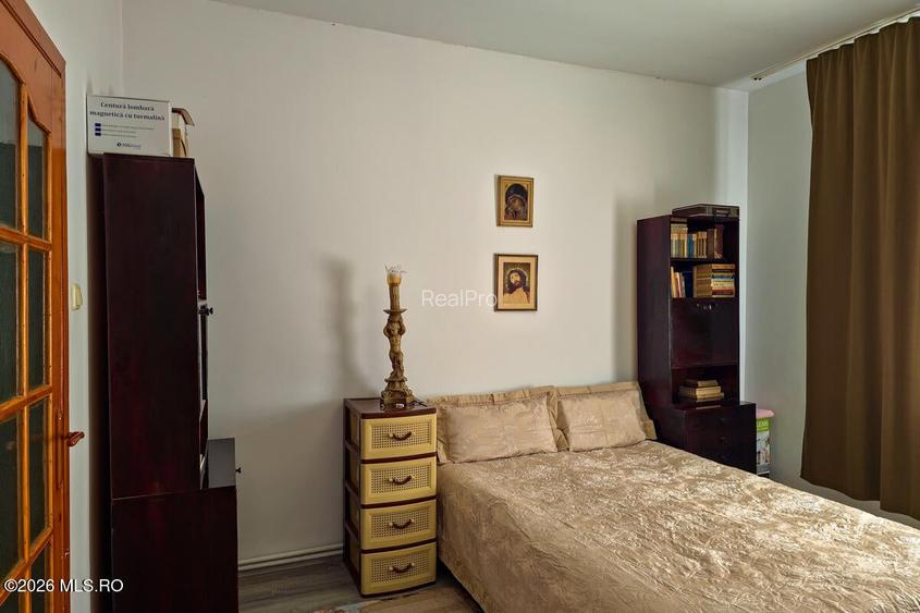 Lunei - Ion Neculce, 2 Apartamente. Mansarda 157 mp. Anexe, Lot 475 mp - 27