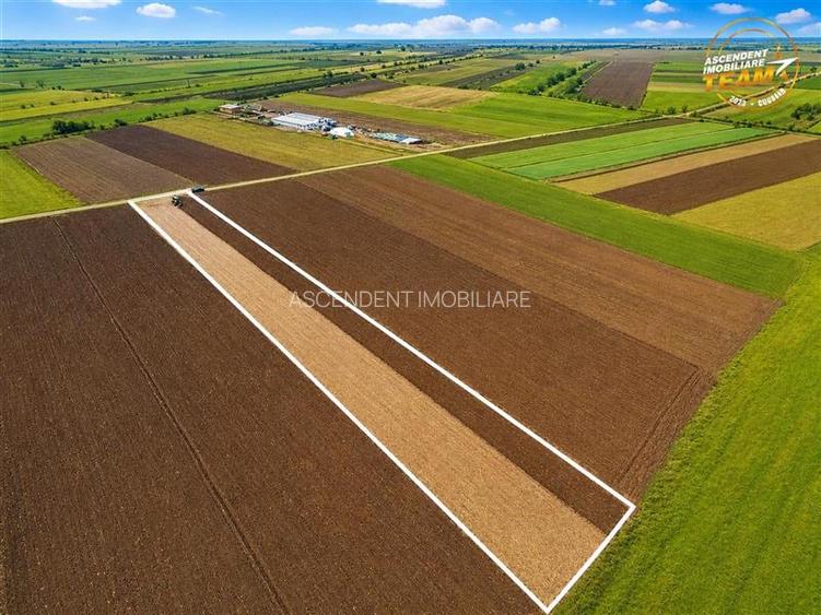 FILM! In areal linistit, acces facil, 4.200 mp  teren extravilan, Covasna - 2