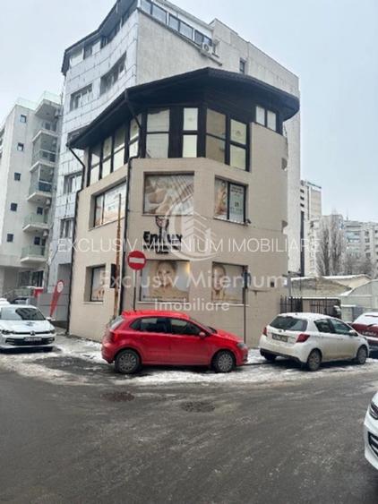 Victoriei Birouri /Vila Pasaj Basarab - Nicolae Titulescu Banu Manta - 7