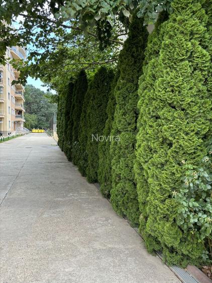 3 Camere / 1 Minut Padurea Baneasa / Loc Parcare Inclus - 15