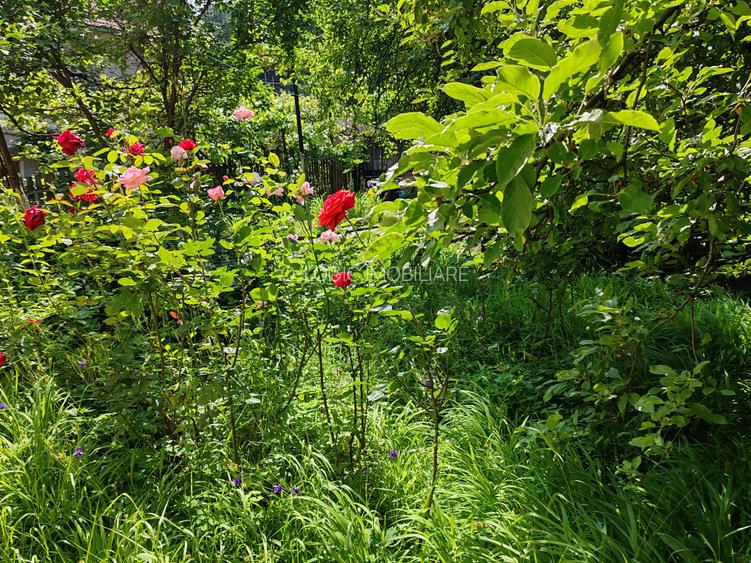 Casa 6 camere libera la vanzare zona Bartolomeu - 30
