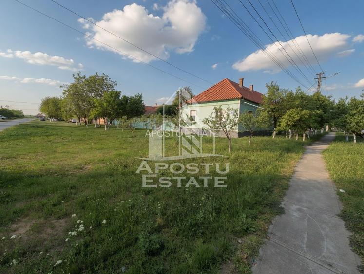Casă renovată complet, cu garaj și anexe, în Satchinez, Timiș - 2