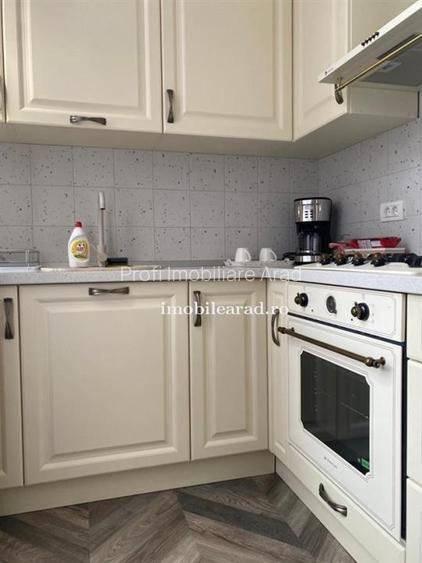 Apartament 60 Euro pe zi, amenajat in stil unic langa Primaria Arad - 13