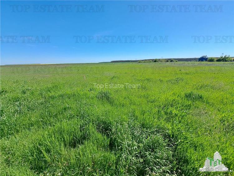 Loturi teren de vanzare Branesti/Vadu Anei - 6