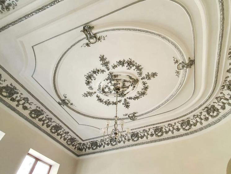 Vila consolidata, 14 camere, Universitate- Rosetti - 4