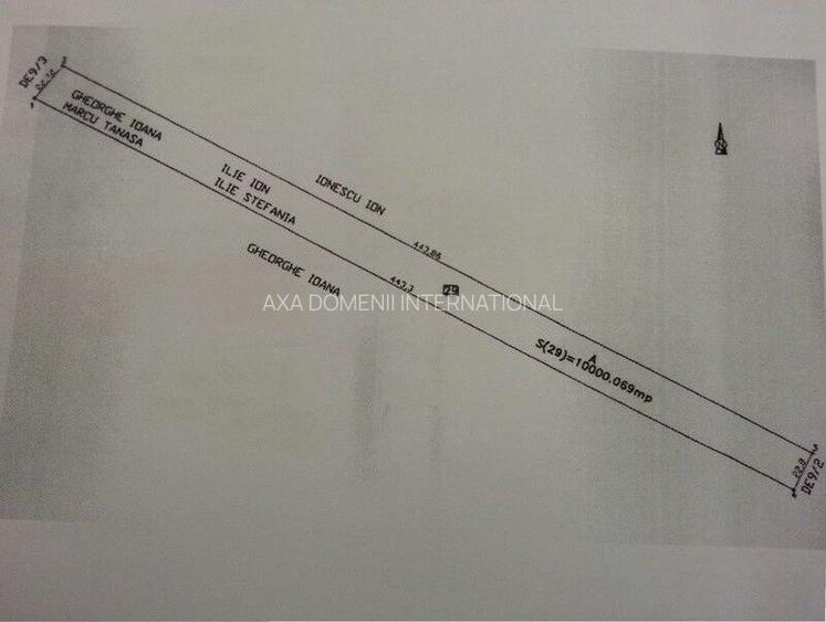 Teren Afumati - Padurea Golasei! - 2
