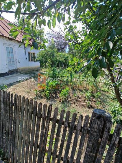 EXCLUSIVITATE! Casa batraneasca cu teren zona Magura - 4