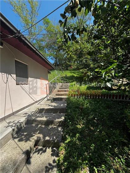 Ansamblu cabanute zona Cozieni - 20