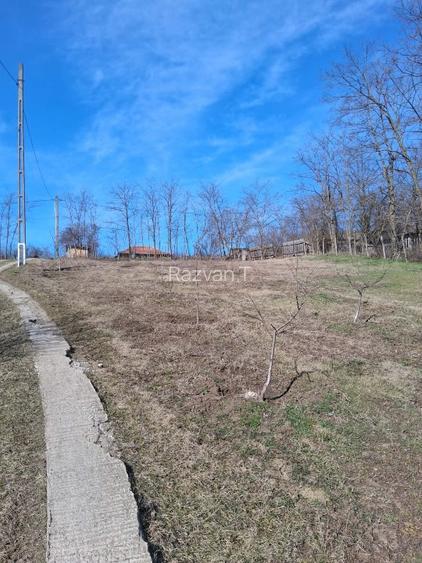 Vând teren intravilan  - 5