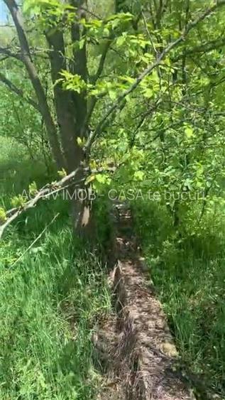 Teren intravilan 500 mp - Ganeasa - 5