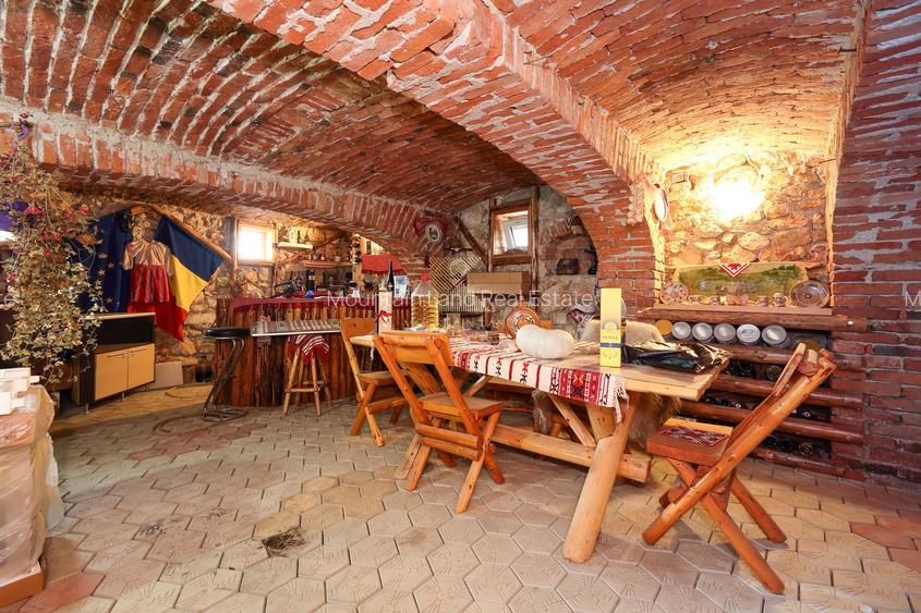 Reședință exclusivistă cu potențial investițional în centrul Cristian - 25