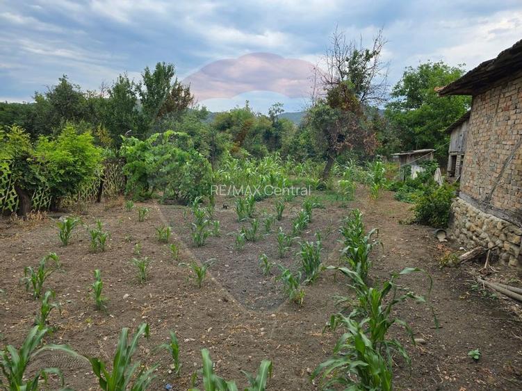 Comision 0! Casa din inima Subcarpaților — comuna Cislau, teren 5000mp - 21