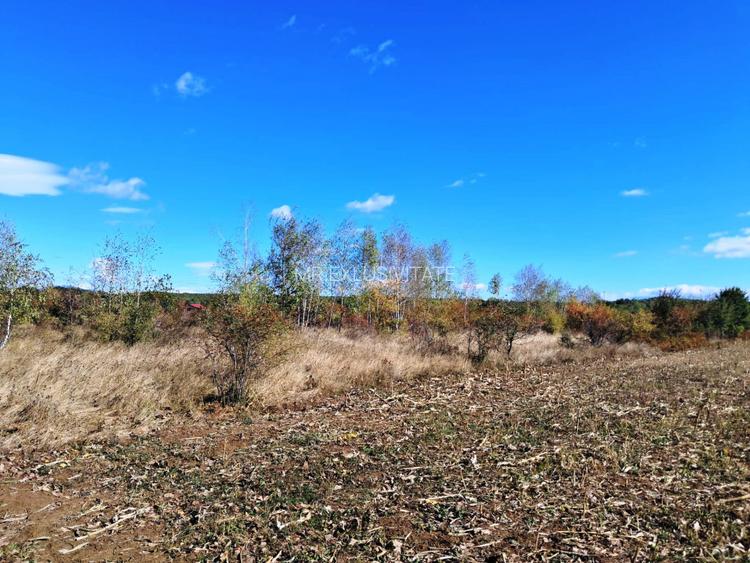 TEREN INTRAVILAN ȘI EXTRAVILAN BAIA DE FIER - 7