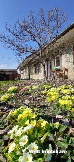 Casa in zona semicentrala, singur in curte, acces auto, spatiu mare de parcare - 11