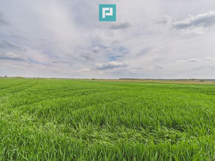 Teren extravilan 19.900 mp – Giroc centură