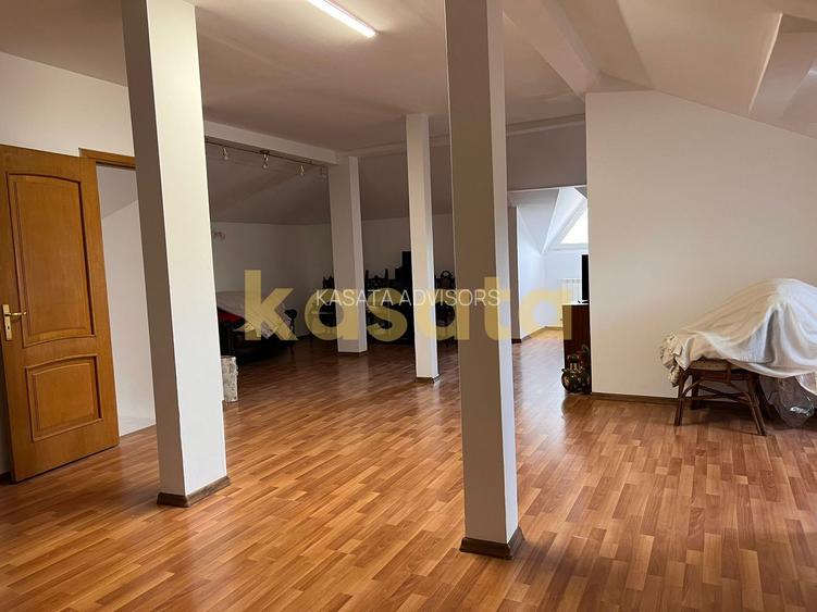 Vila deosebita 11 camere Erou Iancu Nicolae - 20