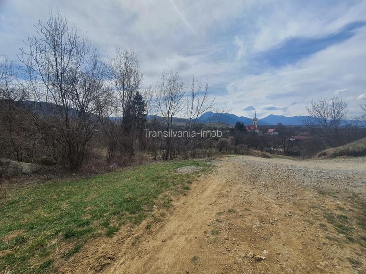 Teren Tarlungeni pretabil investitie 3,5 euro/mp - 5