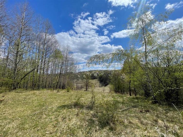 TEREN EXTRAVILAN | 103.000mp | BALANACA-GROSI | PASUNE | PASUNE IMPADURITA | BIH - 7