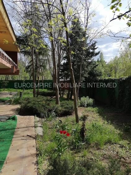 Vila unicat de inchiriat in Mamaia - 19